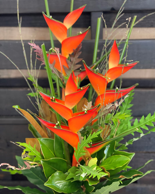 Flowersetc, Floral, Bouquet, Flowers, Gifts, Posy, Posey, Wellington, Lower Hutt, Upper Hutt, Petone, Eastbourne, Bright, Pastel, Florist, Florists, Creative, Flair, custom, bespoke, bunch, bunches, scent, plants, Indoor, wedding, sympathy, funeral, arrangement, floral, seasonal, excellent, elegant, prestige, buttonhole, corsage, gifts for mum, gifts for girlfriend, gifts for friends, heliconia