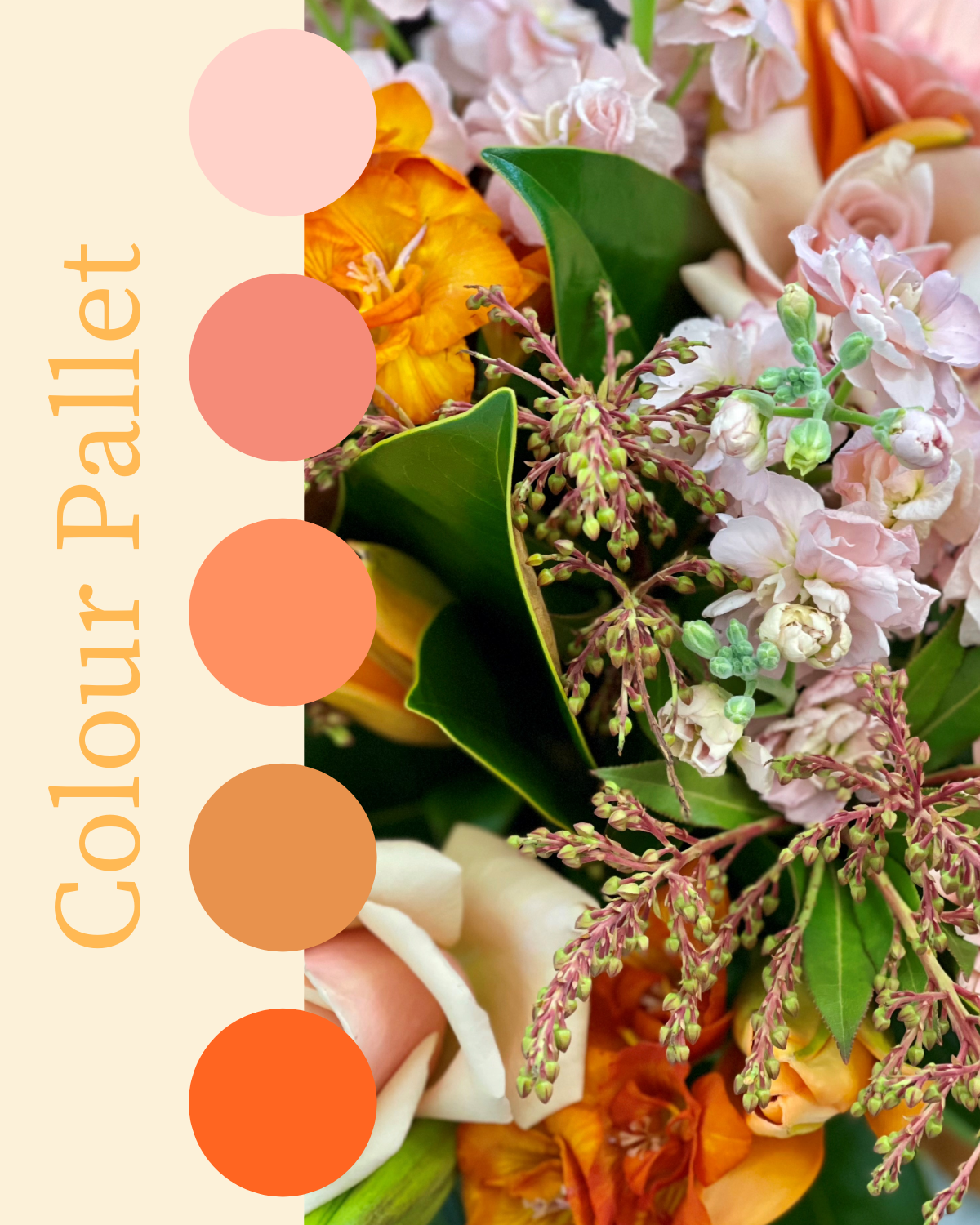 Flowersetc, Floral, Bouquet, Flowers, Gifts, Posy, Posey, Wellington, Lower Hutt, Upper Hutt, Petone, Eastbourne, Bright, Pastel, Florist, Florists, Creative, Flair, custom, bespoke, bunch, bunches, scent, plants, Indoor, wedding, sympathy, funeral, arrangement, floral, seasonal, excellent, elegant, prestige, buttonhole, corsage, gifts for mum, gifts for girlfriend, gifts for friends, peach, apricot