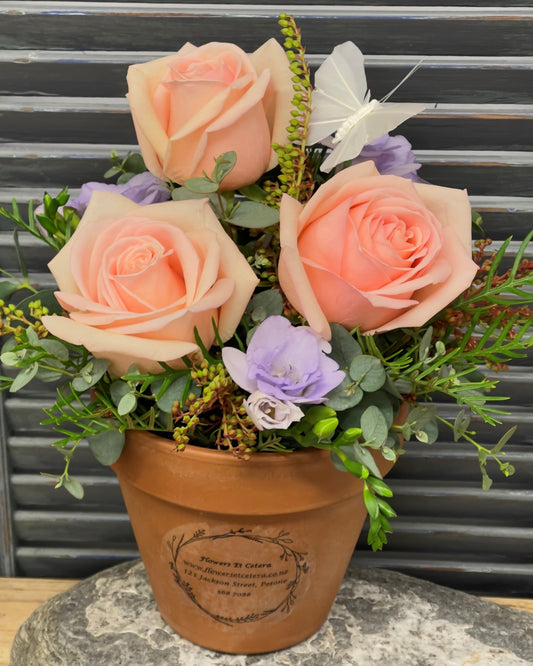 Flowersetc, Floral, Bouquet, Flowers, Gifts, Posy, Posey, Wellington, Lower Hutt, Upper Hutt, Petone, Eastbourne, Bright, Pastel, Florist, Florists, Creative, Flair, custom, bespoke, bunch, bunches, scent, plants, Indoor, wedding, sympathy, funeral, arrangement, floral, seasonal, excellent, elegant, prestige, buttonhole, corsage, gifts for mum, gifts for girlfriend, gifts for friends