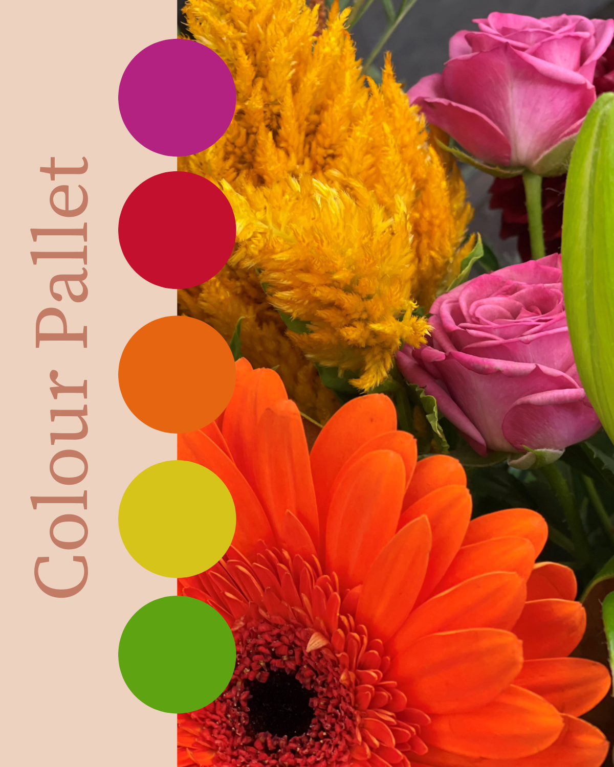 Flowersetc, Floral, Bouquet, Flowers, Gifts, Posy, Posey, Wellington, Lower Hutt, Upper Hutt, Petone, Eastbourne, Bright, Pastel, Florist, Florists, Creative, Flair, custom, bespoke, bunch, bunches, scent, plants, Indoor, wedding, sympathy, funeral, arrangement, floral, seasonal, excellent, elegant, prestige, buttonhole, corsage, gifts for mum, gifts for girlfriend, gifts for friends, sunset, bright