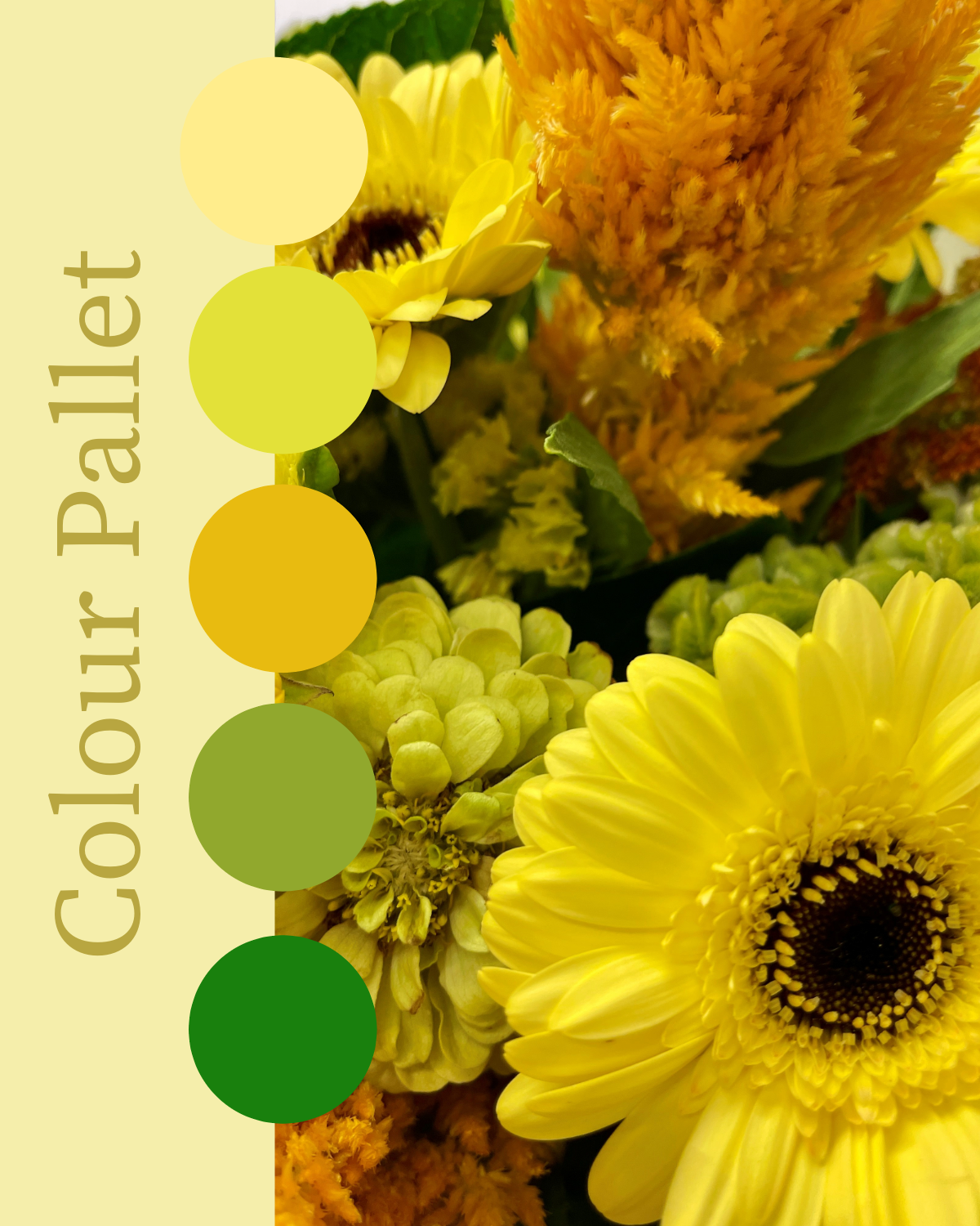 Flowersetc, Floral, Bouquet, Flowers, Gifts, Posy, Posey, Wellington, Lower Hutt, Upper Hutt, Petone, Eastbourne, Bright, Pastel, Florist, Florists, Creative, Flair, custom, bespoke, bunch, bunches, scent, plants, Indoor, wedding, sympathy, funeral, arrangement, floral, seasonal, excellent, elegant, prestige, buttonhole, corsage, gifts for mum, gifts for girlfriend, gifts for friends, sunset, bright