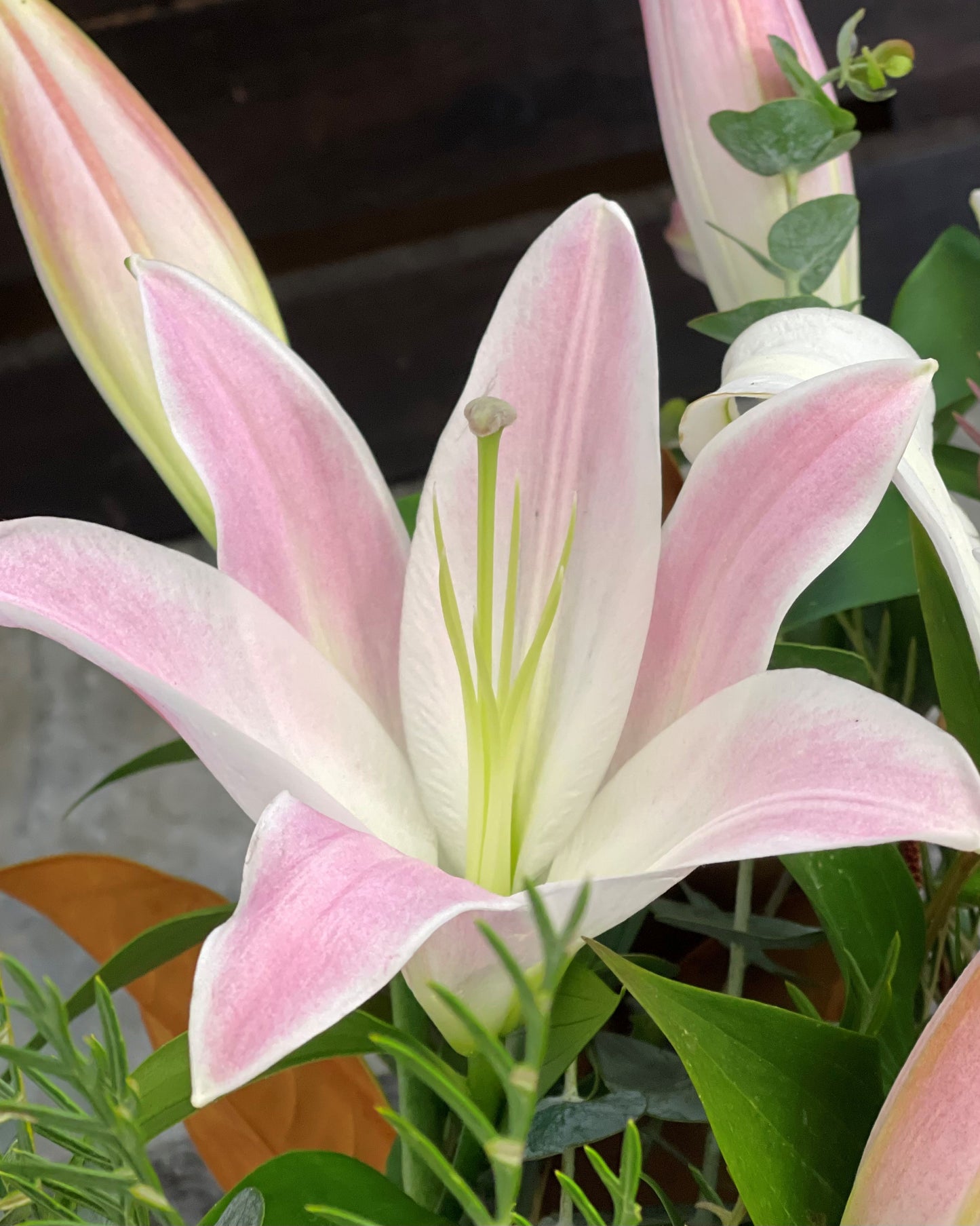 Flowersetc, Floral, Bouquet, Flowers, Gifts, Posy, Posey, Wellington, Lower Hutt, Upper Hutt, Petone, Eastbourne, Bright, Pastel, Florist, Florists, Creative, Flair, custom, bespoke, bunch, bunches, scent, plants, Indoor, wedding, sympathy, funeral, arrangement, floral, seasonal, excellent, elegant, prestige, buttonhole, corsage, gifts for mum, gifts for girlfriend, gifts for friends, seasonal, lily, lilies, lillies