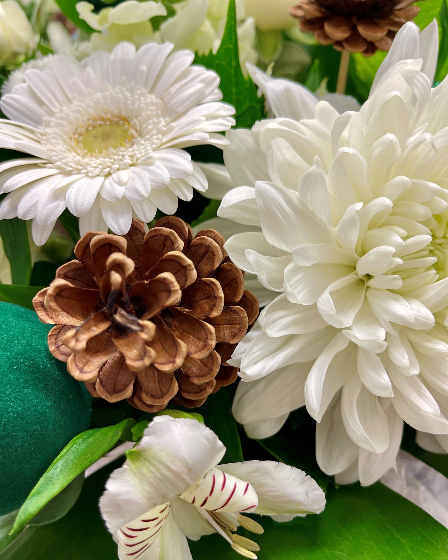 Flowersetc, Floral, Bouquet, Flowers, Gifts, Posy, Posey, Wellington, Lower Hutt, Upper Hutt, Petone, Eastbourne, Bright, Pastel, Florist, Florists, Creative, Flair, custom, bespoke, bunch, bunches, scent, plants, Indoor, wedding, sympathy, funeral, arrangement, floral, seasonal, excellent, elegant, prestige, buttonhole, corsage, gifts for mum, gifts for girlfriend, gifts for friends, christmas