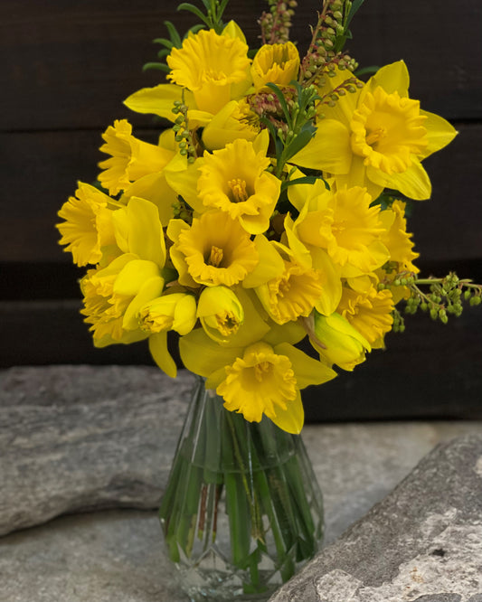 Flowersetc, Floral, Bouquet, Flowers, Gifts, Posy, Posey, Wellington, Lower Hutt, Upper Hutt, Petone, Eastbourne, Bright, Pastel, Florist, Florists, Creative, Flair, custom, bespoke, bunch, bunches, scent, plants, Indoor, wedding, sympathy, funeral, arrangement, floral, seasonal, excellent, elegant, prestige, buttonhole, corsage, gifts for mum, gifts for girlfriend, gifts for friends, daffodils, spring, earlicheer