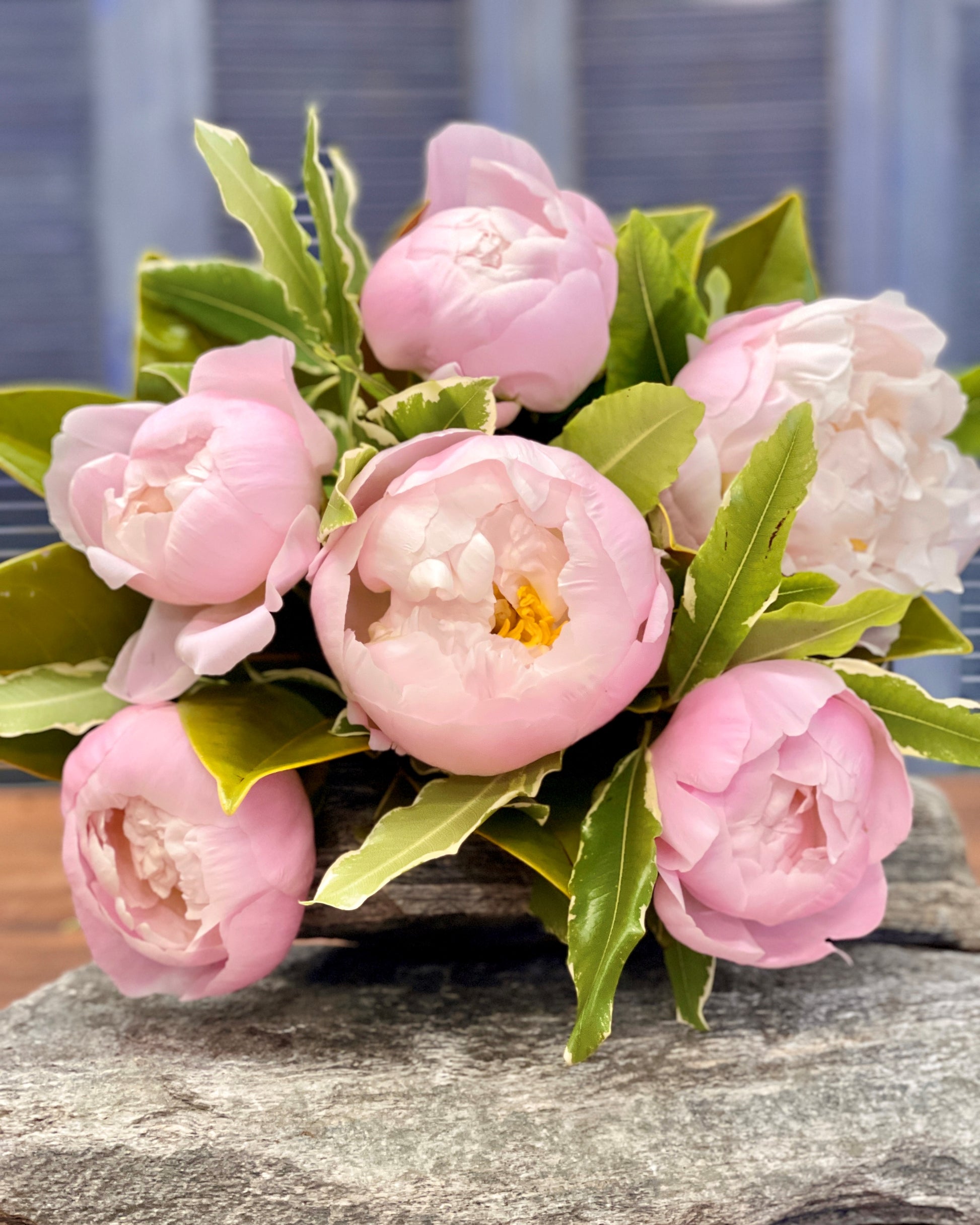 Flowersetc, Floral, Bouquet, Flowers, Gifts, Posy, Posey, Wellington, Lower Hutt, Upper Hutt, Petone, Eastbourne, Bright, Pastel, Florist, Florists, Creative, Flair, custom, bespoke, bunch, bunches, scent, plants, Indoor, wedding, sympathy, funeral, arrangement, floral, seasonal, excellent, elegant, prestige, buttonhole, corsage, gifts for mum, gifts for girlfriend, gifts for friends, peony, peonies, paeony