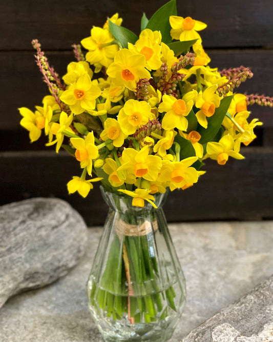 Flowersetc, Floral, Bouquet, Flowers, Gifts, Posy, Posey, Wellington, Lower Hutt, Upper Hutt, Petone, Eastbourne, Bright, Pastel, Florist, Florists, Creative, Flair, custom, bespoke, bunch, bunches, scent, plants, Indoor, wedding, sympathy, funeral, arrangement, floral, seasonal, excellent, elegant, prestige, buttonhole, corsage, gifts for mum, gifts for girlfriend, gifts for friends, daffodils, spring, earlicheer