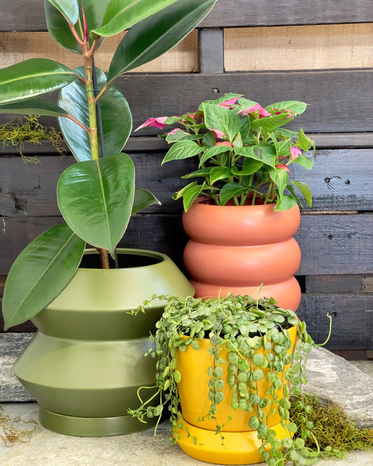 Flowersetc, Floral, Bouquet, Flowers, Gifts, Posy, Posey, Wellington, Lower Hutt, Upper Hutt, Petone, Eastbourne, Bright, Pastel, Florist, Florists, Creative, Flair, custom, bespoke, bunch, bunches, scent, plants, Indoor, wedding, sympathy, funeral, arrangement, floral, seasonal, excellent, elegant, prestige, buttonhole, corsage, gifts for mum, gifts for girlfriend, gifts for friends, pots