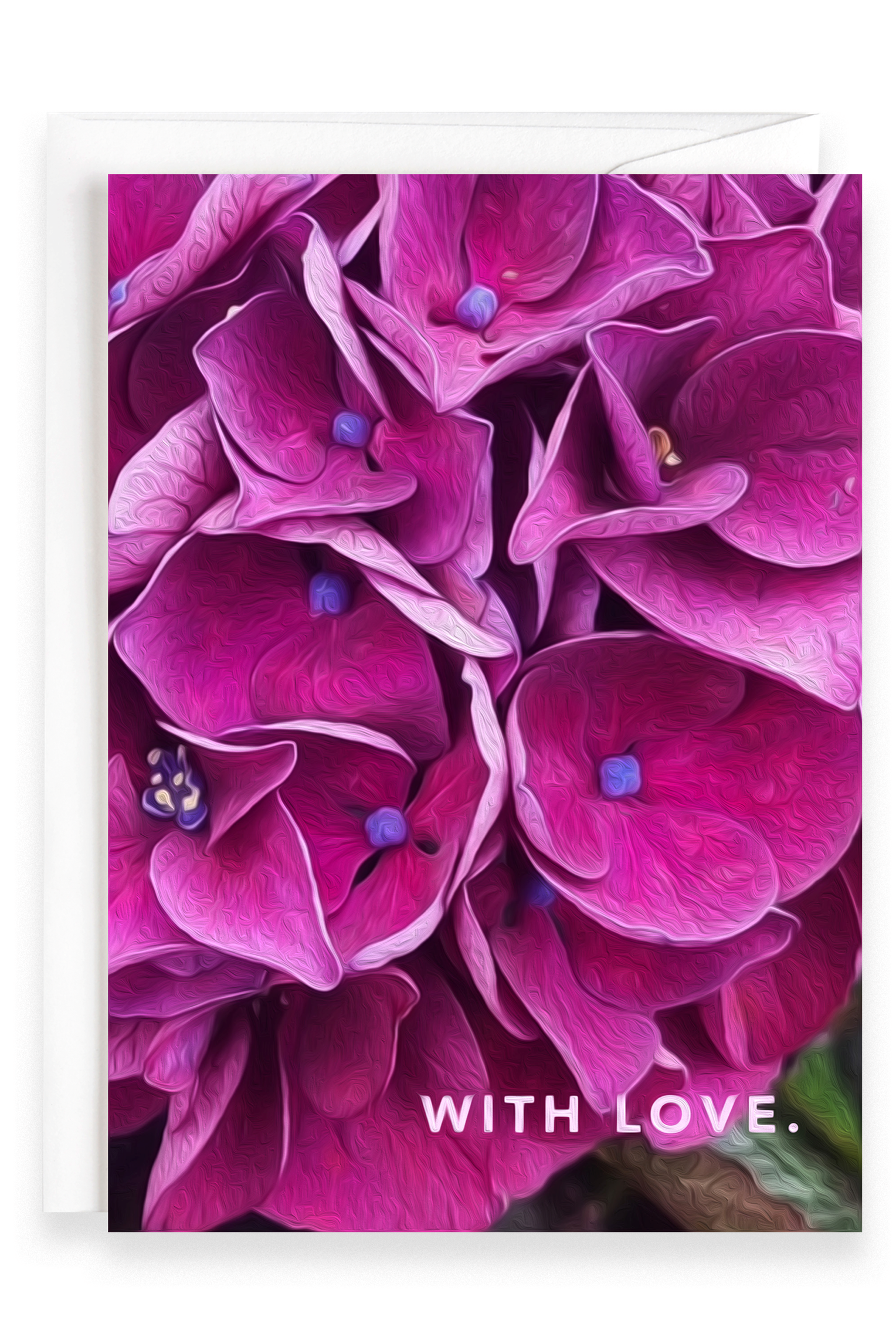 Flowersetc, Floral, Bouquet, Flowers, Gifts, Posy, Posey, Wellington, Lower Hutt, Upper Hutt, Petone, Eastbourne, Bright, Pastel, Florist, Florists, Creative, Flair, custom, bespoke, bunch, bunches, scent, plants, Indoor, wedding, sympathy, funeral, arrangement, floral, seasonal, excellent, elegant, prestige, buttonhole, corsage, gifts for mum, gifts for girlfriend, gifts for friends, pink, cards, art, local, artist, vibrant, eclectic, local, art